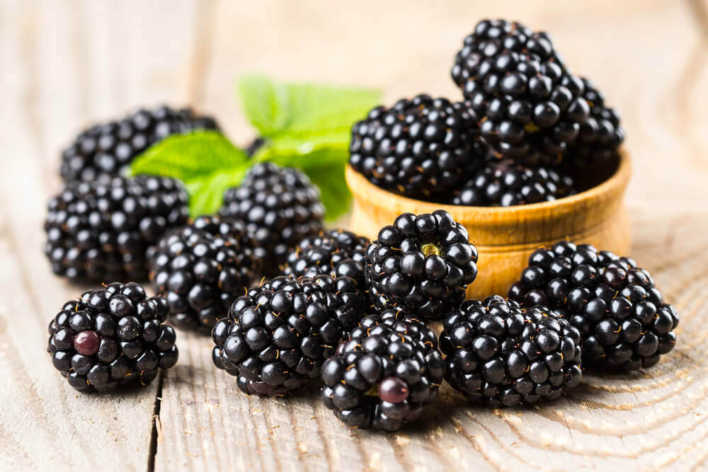 Fresh blackberries 