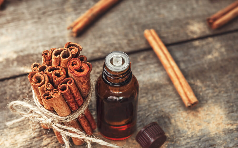 A bundle of cinnamon sticks, with a small vial of cinnamon oil