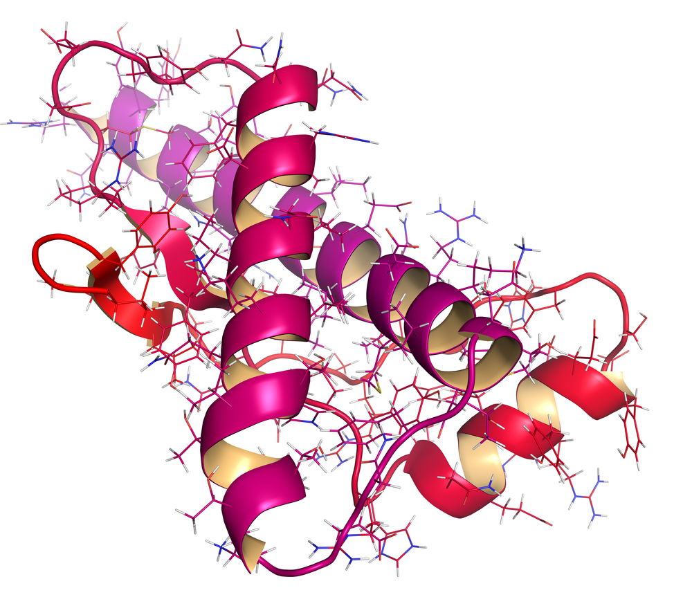 Human prion protein (hPrP), chemical structure. Associated with neurodegenerative diseases, including kuru, BSE and Creutzfeldt-Jakob. Cartoon + wireframe. N- (yellow) to C-term (red) gradient color.