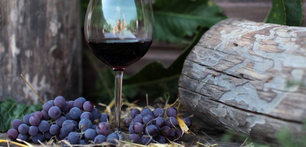 Glass of wine surrounded by grapes and logs