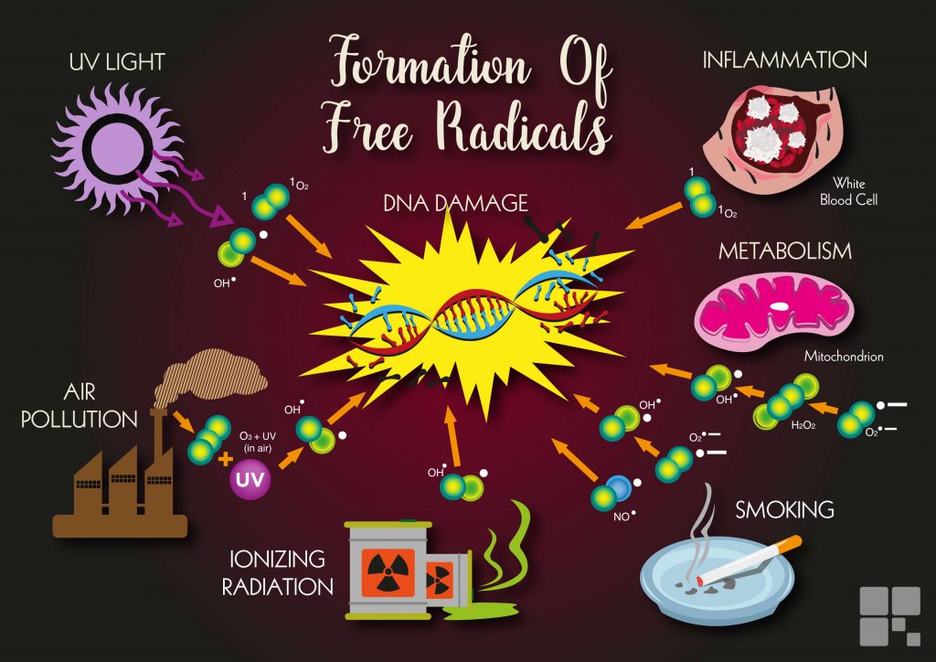 The Benefits and Harms of Your Regular Espresso | resveralife